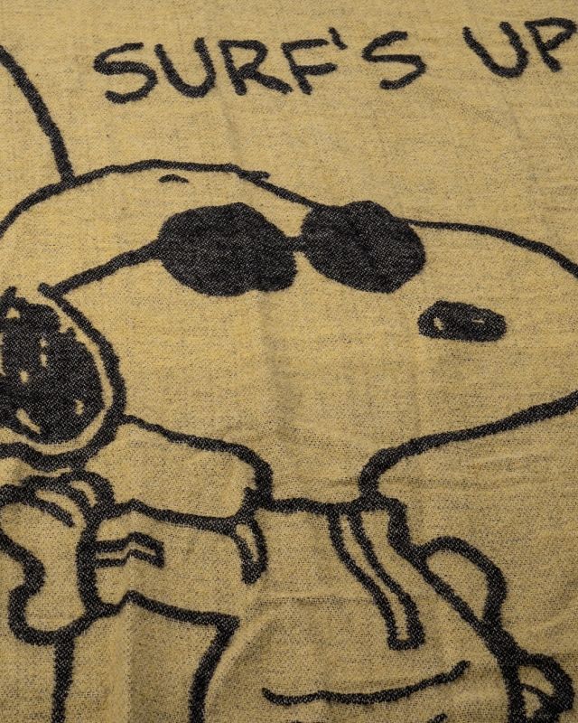 1969 Snoopy Blanket