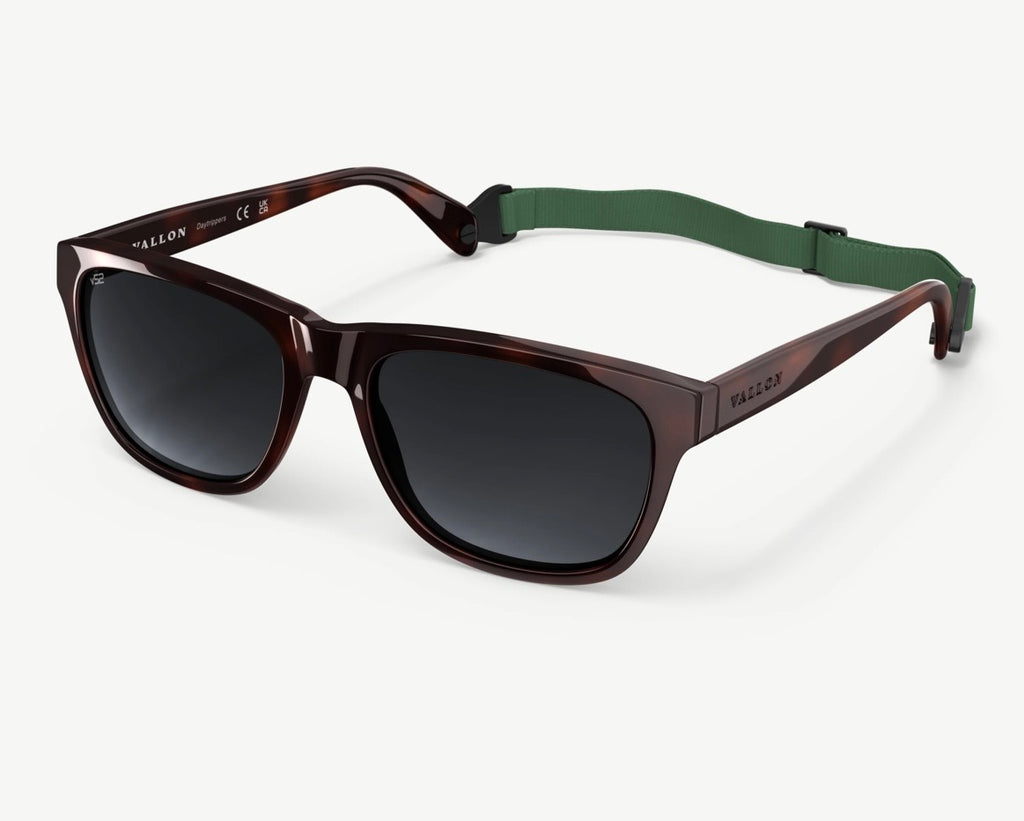 Daytrippers Sunglasses Polarized Dark Tortoise
